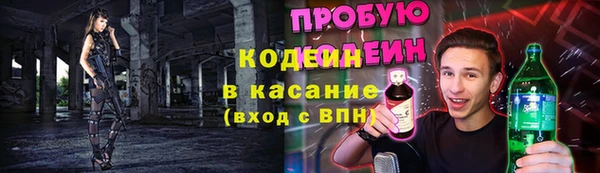 ешки Арсеньев