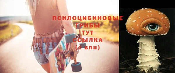 ешки Арсеньев