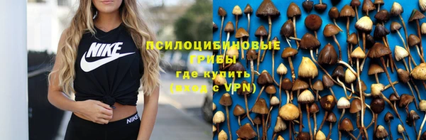 ешки Арсеньев